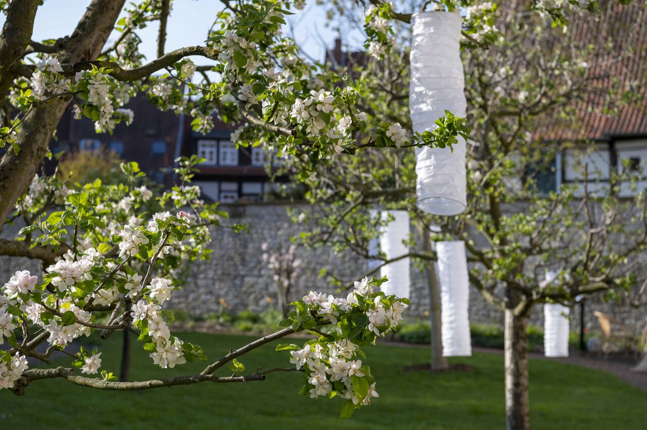 LÜCHTENHOF - Hofgarten - Lampions in blühenden Apfelbäumen