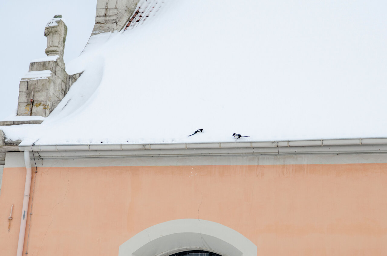 LÜCHTENHOF - Schneebdecktes Dach der Kirche mit zwei einander gegenüber sitzenden Elstern