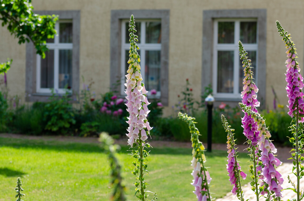 LÜCHTENHOF - Hofgarten - Blick auf Stilleben von Fingerhut und Apfelbaum vor Altbau