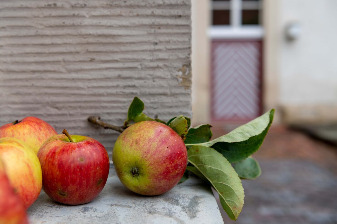 LÜCHTENHOF - Hofgarten - Äpfel in Fensternische