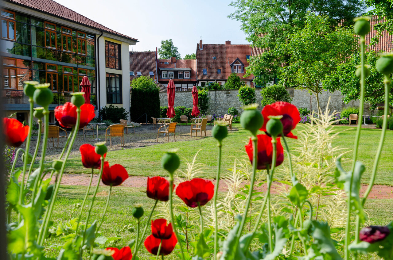 LÜCHTENHOF - Hofgarten - Blick durch Mohnblüten auf Glasgebäude und Stuhlkreis auf Wiese