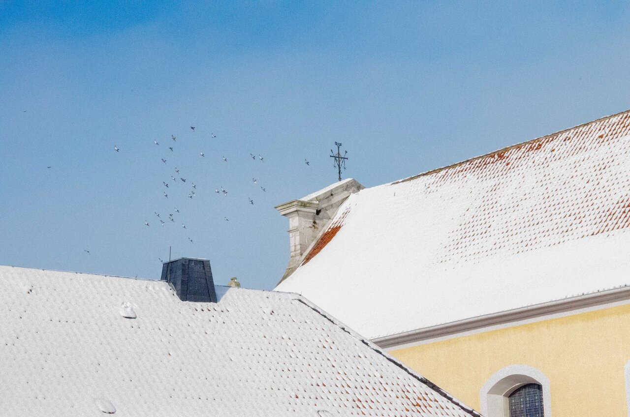 LÜCHTENHOF - Schneebdecktes Kirchendach mit Vögeln