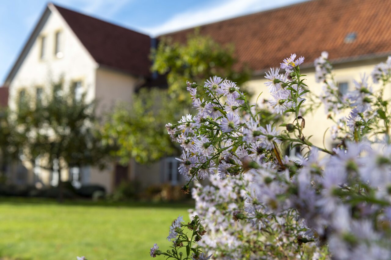 LÜCHTENHOF - Hofgarten mit Herbstblumen