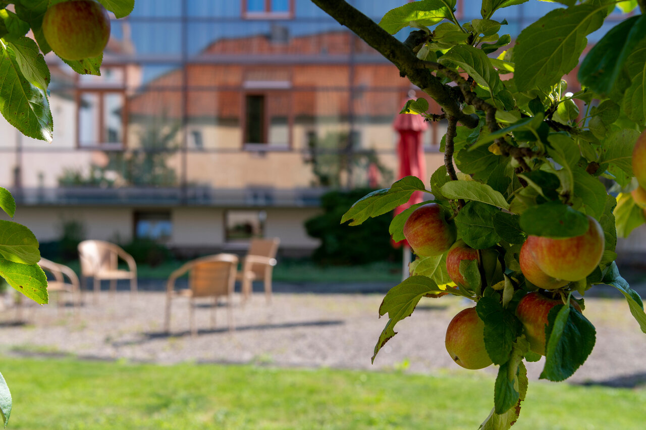 LÜCHTENHOF - Apfelbaum mit Blick auf Sitzgruppe vor Neubau