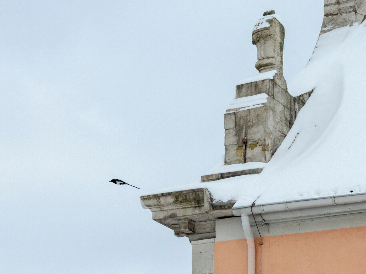 LÜCHTENHOF - Schneebdecktes Kirchendach und fliegende Elster