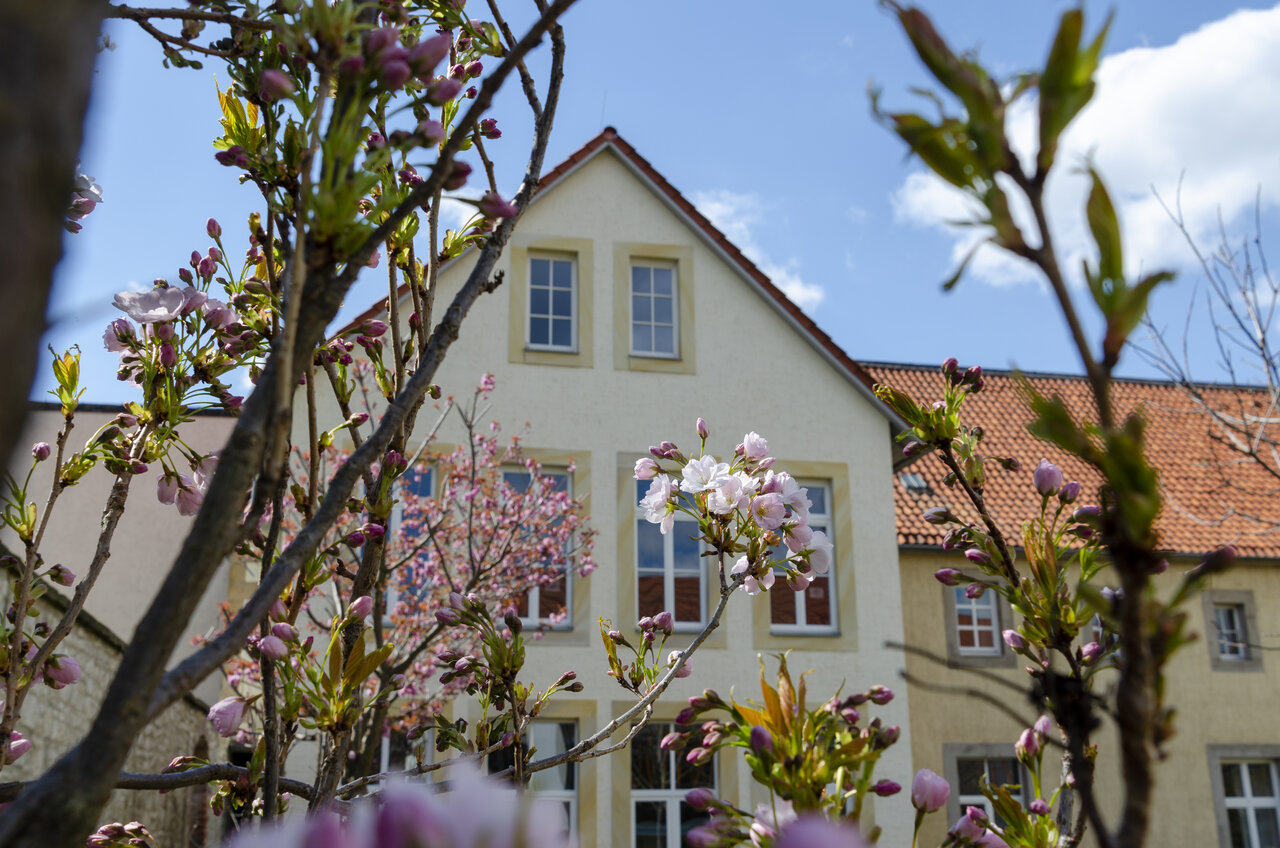 LÜCHTENHOF - Hofgarten - Zweige mit Knospen vor Speisesaal