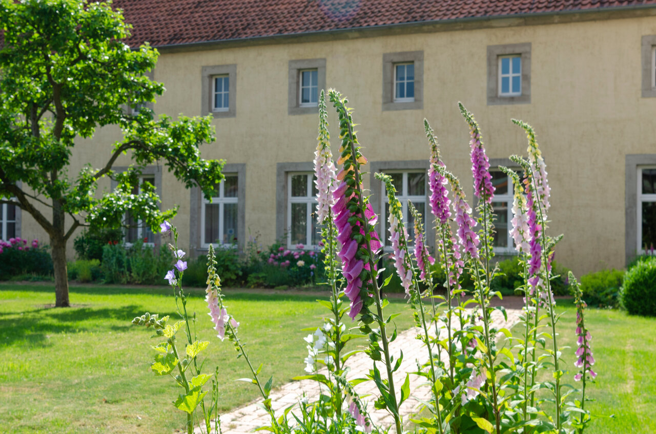 LÜCHTENHOF - Hofgarten - Blick auf Stilleben von Fingerhut und Apfelbaum vor Altbau