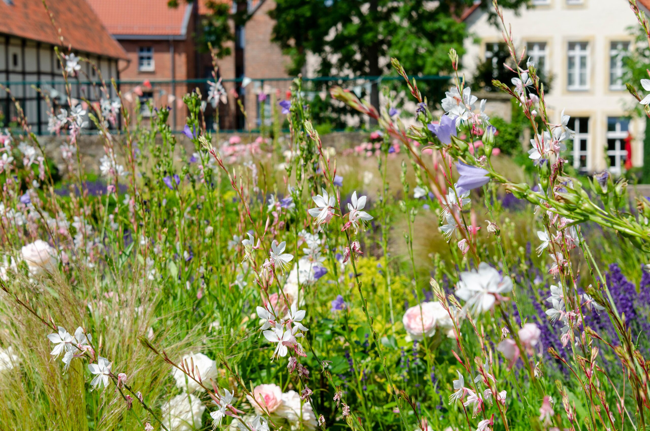 Wandel­garten / LÜCHTENHOF Neue Straße 3, Hildesheim